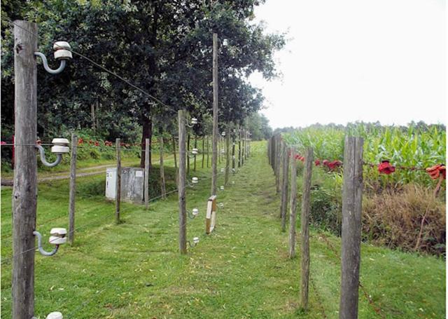 La Petite Fleur Villa Baarle-Nassau Ngoại thất bức ảnh